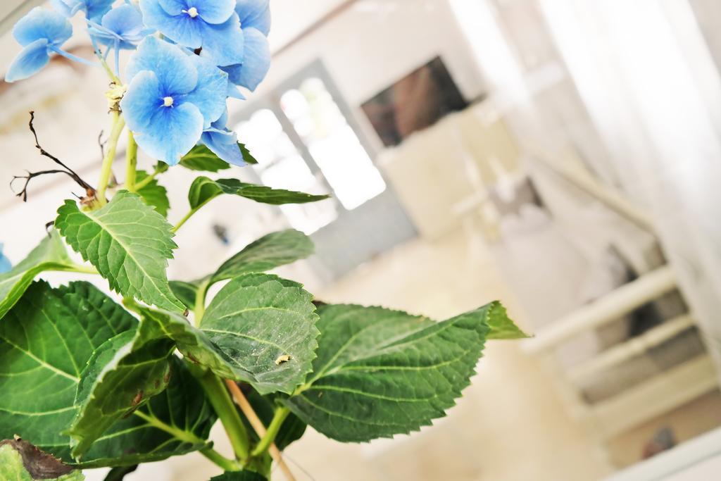 Golden Beach Studios Down Town Naxos City 외부 사진